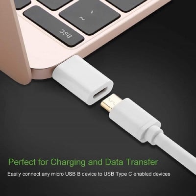Picture of Micro USB Type C Converter - White
