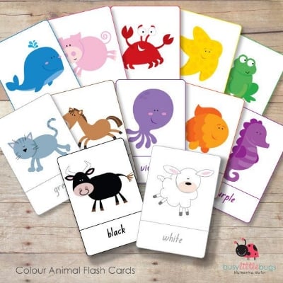 Picture of Paper Plane Design Animal Cards for Kids