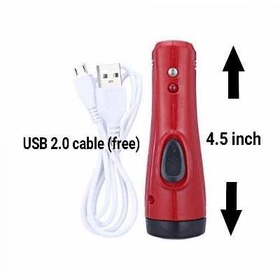 Picture of Mini Rechargeable LED Torch Light (SDGD-8670B)-Maroon With Money Check