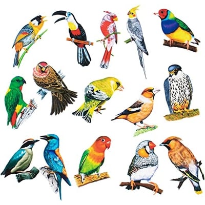 Picture of 12 PCS 3D Bird Wall Sticker DIY Sparrow and Yellow Bird Wall Sticker