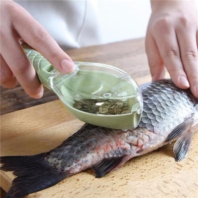 Picture of Fish Scale Remover Brush