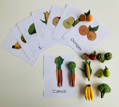 Picture of Flower flash cards - Multi Color