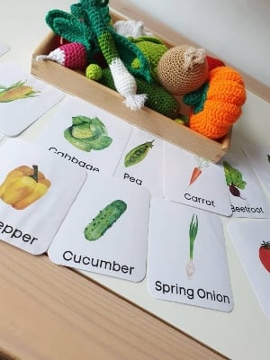 Picture of Flower flash cards - Multi Color