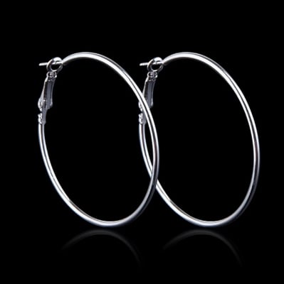 Picture of Round Ear Hoop Earrings Anti Allergy Women's Fashion Jewelry Gift-1Pair - Silver
