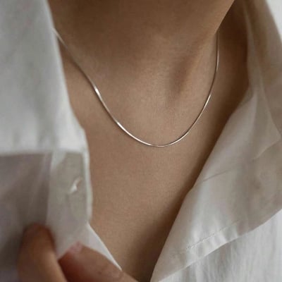 Picture of Snake Stainless Steel Chain Necklace For Woman - Silver