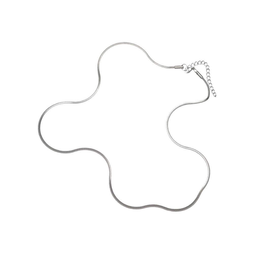 Picture of Snake Stainless Steel Chain Necklace For Woman - Silver
