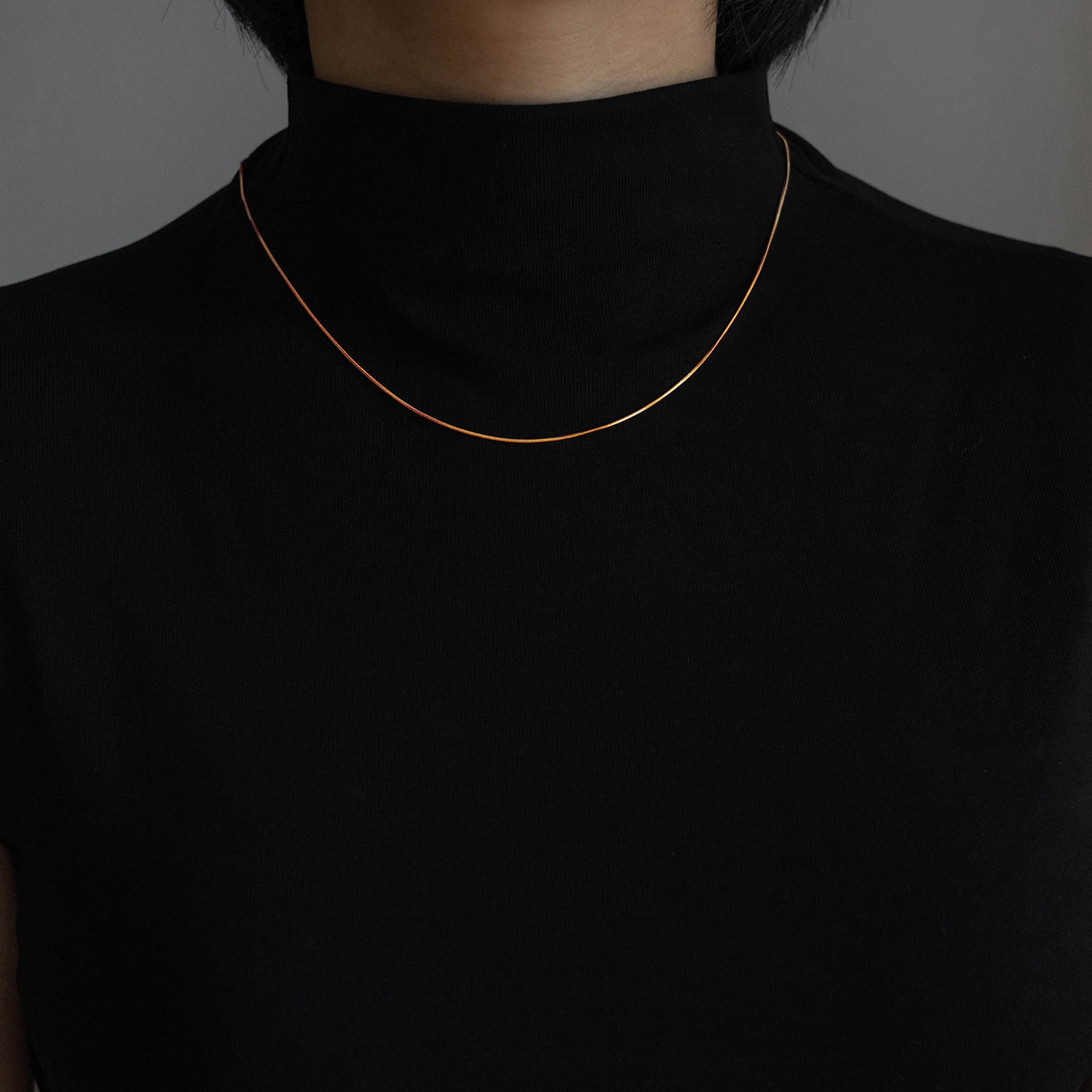 Picture of Snake Stainless Steel Chain Necklace For Woman - Silver