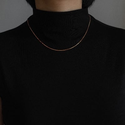 Picture of Snake Stainless Steel Chain Necklace For Woman - Silver
