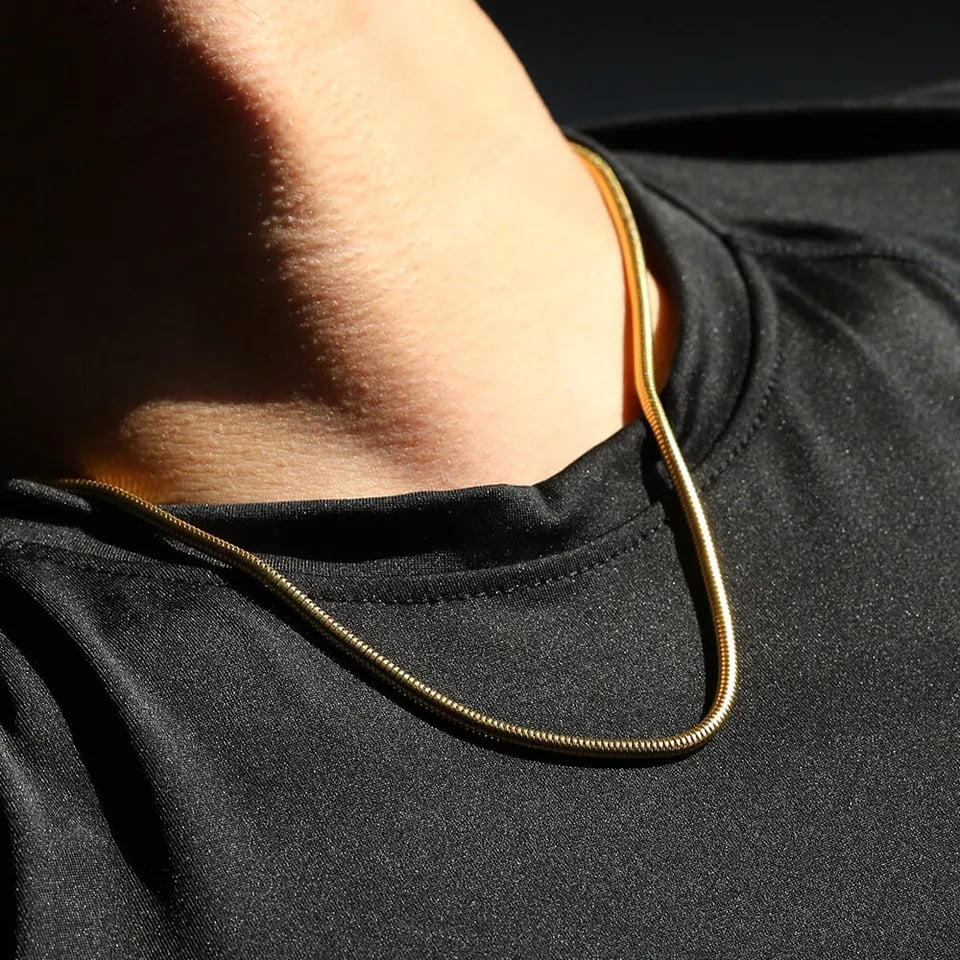 Picture of Stylish Men Stainless Steel Flat Snake Neck Necklace - Gold