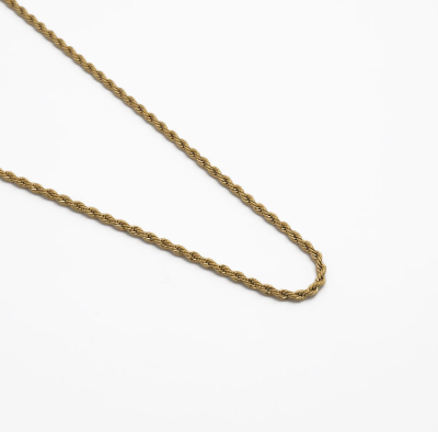 Picture of Fashion Woman Stainless Steel Rofe Necklace - Gold