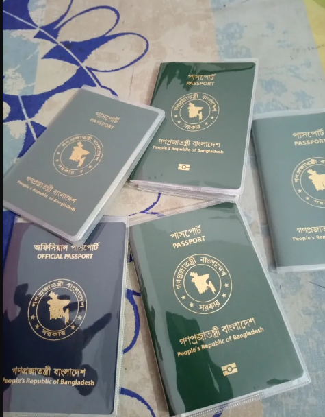 Picture of Transparent Passport Cover-1PCS - Transparent