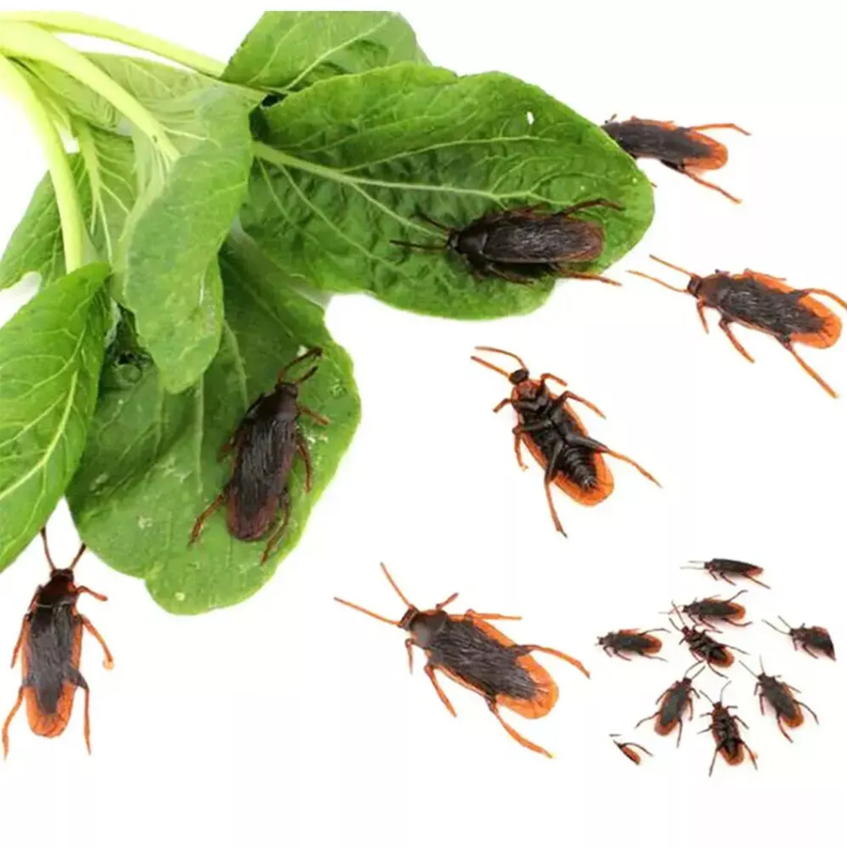 Picture of Realistic Insect Prank Funny Toys 3 PCS