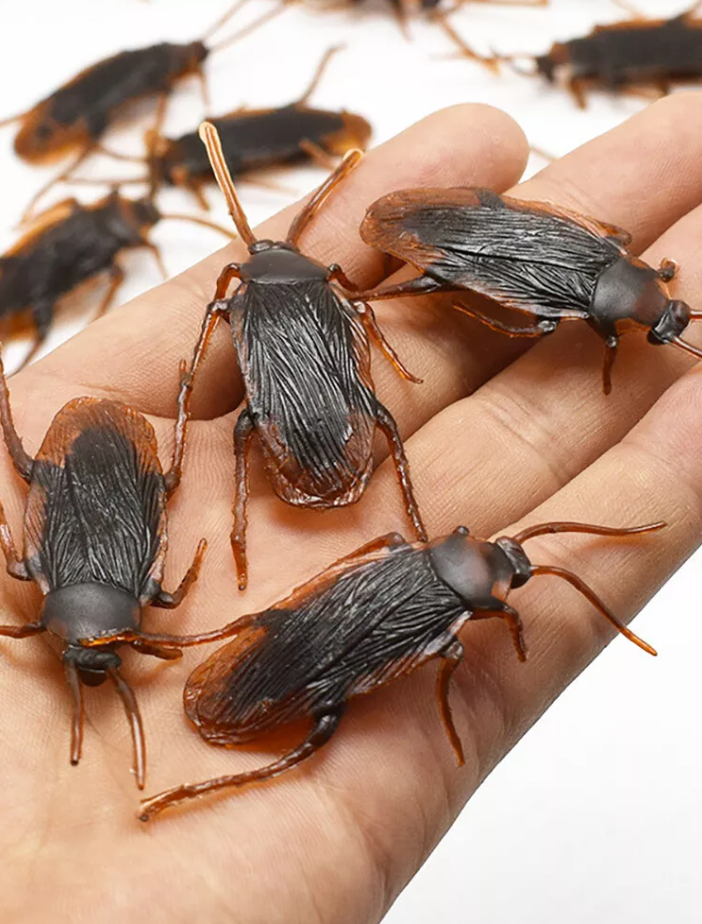 Picture of Simulation Plastic Cockroach Toy Realistic Insect Prank Funny Toys 4 PCS SET