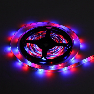 Picture of RGB 3528_ 3 color Led strip Light 5 miter ( only strip without controller adapter)-Multicolor