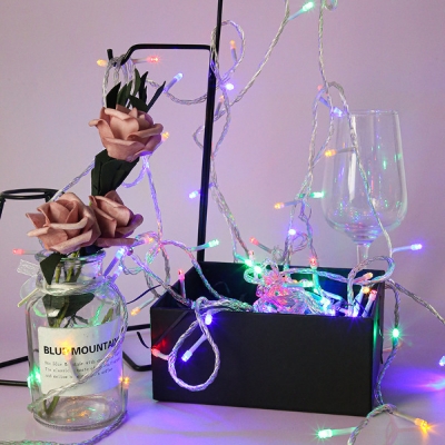 Picture of Home Decorative Fairy Lights - Multicolor