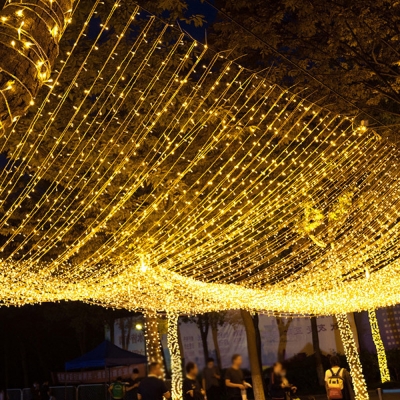 Picture of Decorative Fairy Lights - 30 Feet Golden