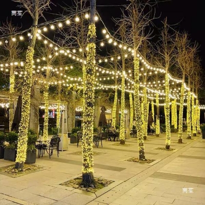 Picture of Decorative Fairy Lights - 30 Feet Golden