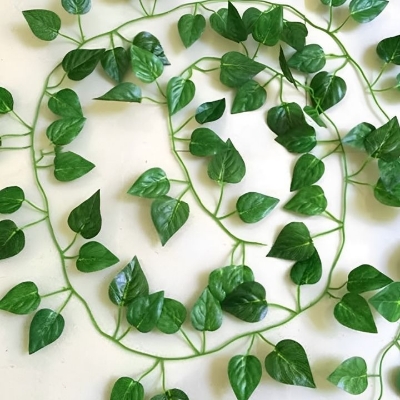 Picture of Artificial Hanging Leaf Vines Plant - 7 feet for Indoor and Outdoor Decoration-Green