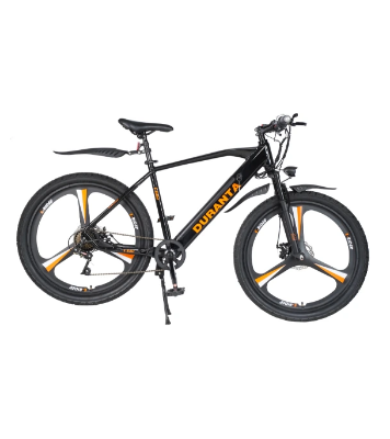 Picture of DURANTA E-Rider-201 Electric Bicycle