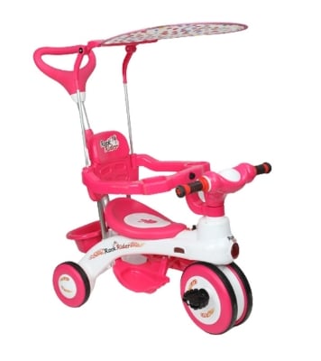 Buy Rock Rider Complete 9M Pink Online at Best Price