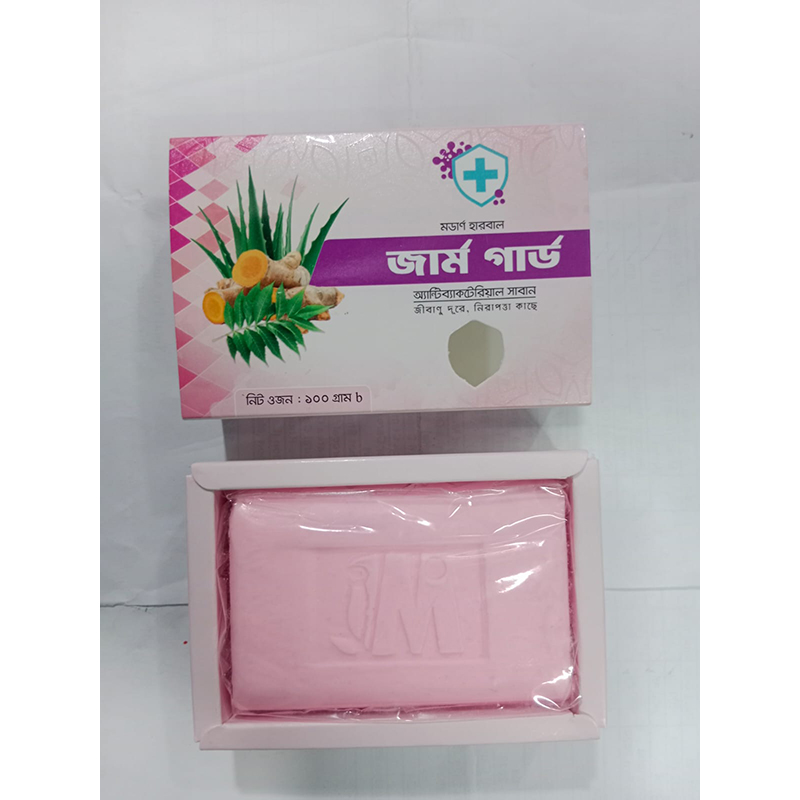Picture of Germ Gard Antibacterial Soap 100g