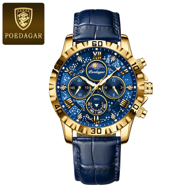 Picture of POEDAGAR 973 Moon New Luxury Genuine Leather Men Quartz Watches Luminous Daily Life Waterproof Chronograph fashion Analog Watch for men - Watch For Men