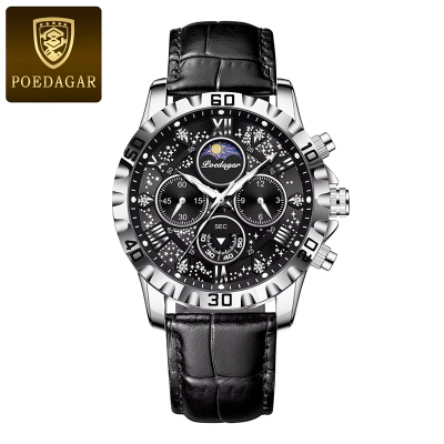 Picture of POEDAGAR 973 Moon New Luxury Genuine Leather Men Quartz Watches Luminous Daily Life Waterproof Chronograph fashion Analog Watch for men - Watch For Men