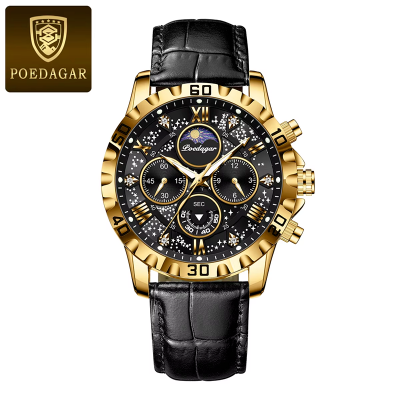 Picture of POEDAGAR 973 Moon New Luxury Genuine Leather Men Quartz Watches Luminous Daily Life Waterproof Chronograph fashion Analog Watch for men - Watch For Men