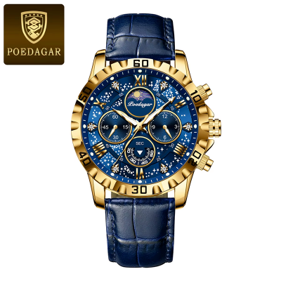 Picture of POEDAGAR 973 Moon New Luxury Genuine Leather Men Quartz Watches Luminous Daily Life Waterproof Chronograph fashion Analog Watch for men - Watch For Men