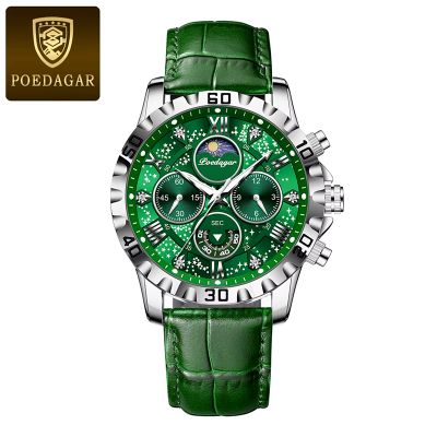 Picture of POEDAGAR 973 Moon New Luxury Genuine Leather Men Quartz Watches Luminous Daily Life Waterproof Chronograph fashion Analog Watch for men - Watch For Men