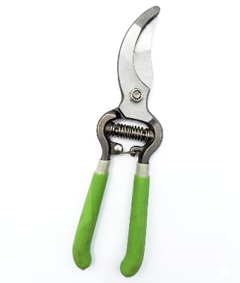 Picture of Pruning shears 8 inch for plant pruning