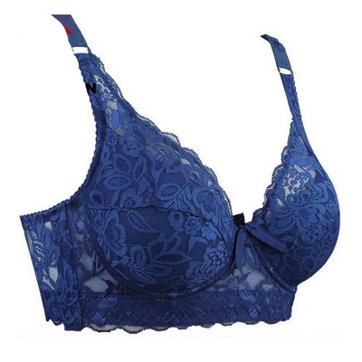 Picture of Double Part Soft Comfortable Net padded Bra for Women 100% Good quality - Blue