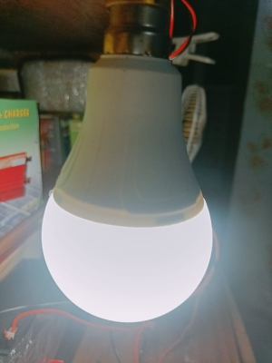 Picture of DC 20 Watt Bulb 2Pcs / Dc Solar Light 20W / DC LED BULB 20W-White