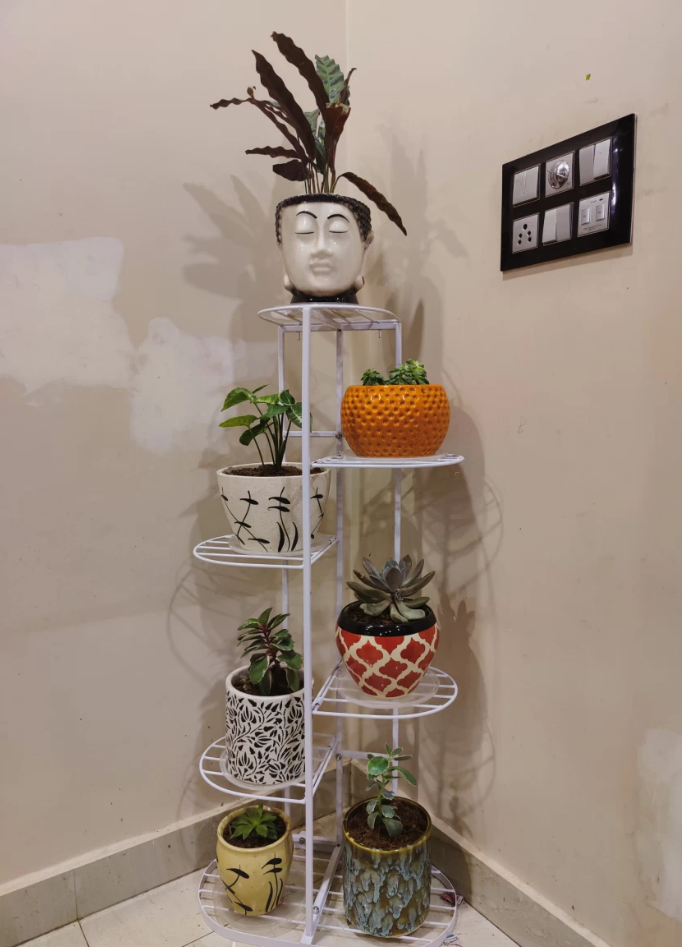 Picture of 6-Pot Metal Stand - Multi-Shelf Plant Holder Rack for Flower Pots & Containers-Patio Garden