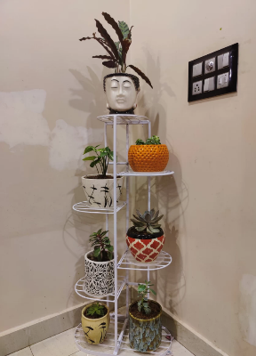 Picture of 6-Pot Metal Stand - Multi-Shelf Plant Holder Rack for Flower Pots & Containers-Patio Garden