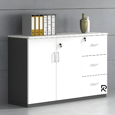 Picture of RK Modern and Trendy Engineered Wood  File Cabinets Solid Wood Shelf Unit and Locking Door File Cabinet & Kitchen Cabinet