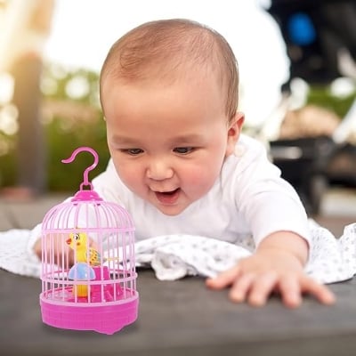 Picture of Bird Singing Toys - Multicolor