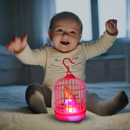 Picture of Bird Singing Toys - Multicolor