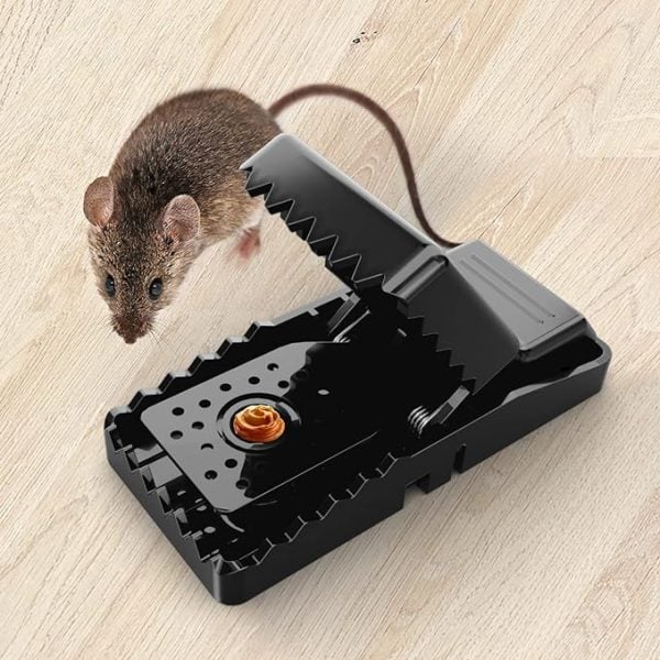 Picture of Mouse Killer Trap (5×3×3 inches) - Black