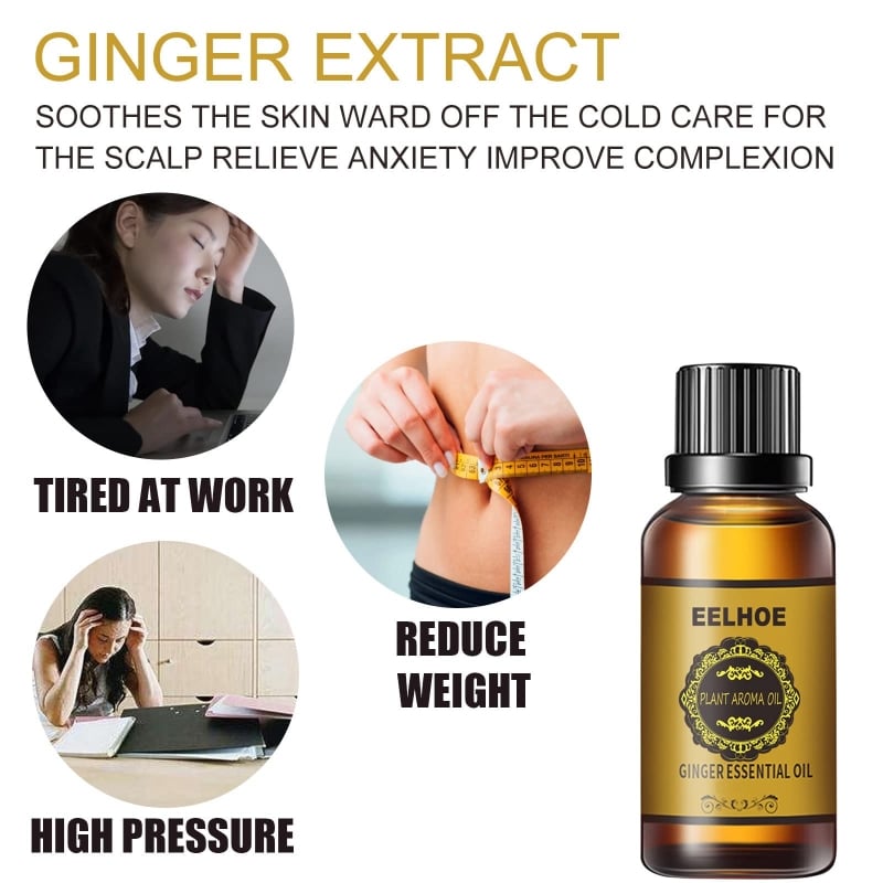 Picture of Orginal Belly Drainage Ginger Essential Oil   ( 3PCS ) - Olive - Int: One size