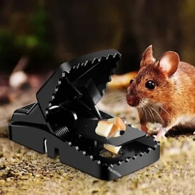 Picture of edur marar fad/Mouse Trap Mouse Traps Indoor Mouse Traps for House Mouse Traps Outdoor Mice Traps for House Indoo - Int: One size