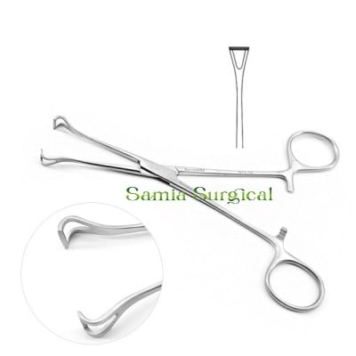 Picture of Babcock Tissue Forceps  Instruments 6''' 8'' 1pcs