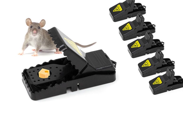 Picture of 1pcs Mouse Trap Mouse Finger Live Trap Rat trap Mouse Killer Trap Black (5×3×3 inches)
