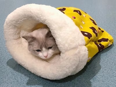 Picture of Cat Winter Sleeping Bag, Cat Bed Cave Sleeping Bag, Cat Sleeping Bag, Wrap Comfortable Pet Snuggle Sack, Soft Plush Large Cat Sack- Multicolor-0.1