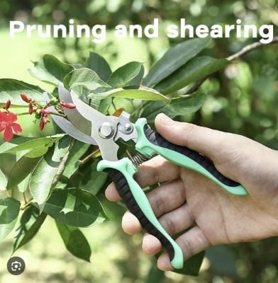Picture of PrunePro Pruning Shears for Gardening Professional Bypass Hand Pruner Up to Cut Capacity Sharp Stainless Steel Blade Garden Scissors Plant Flower Garden Clipper-Multicolor