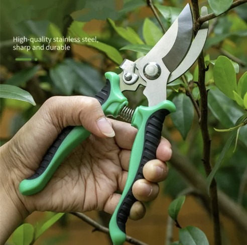 Picture of PrunePro Pruning Shears for Gardening Professional Bypass Hand Pruner Up to Cut Capacity Sharp Stainless Steel Blade Garden Scissors Plant Flower Garden Clipper-Multicolor