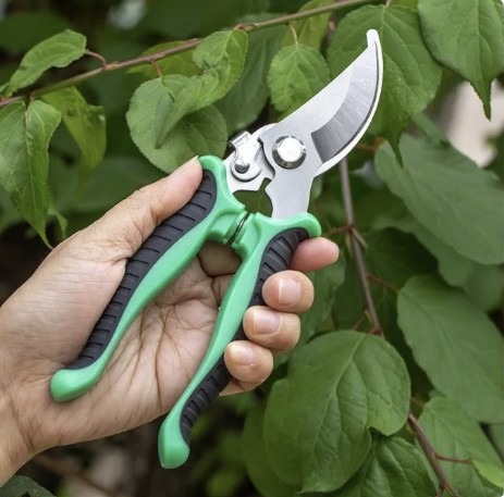 Picture of PrunePro Pruning Shears for Gardening Professional Bypass Hand Pruner Up to Cut Capacity Sharp Stainless Steel Blade Garden Scissors Plant Flower Garden Clipper-Multicolor