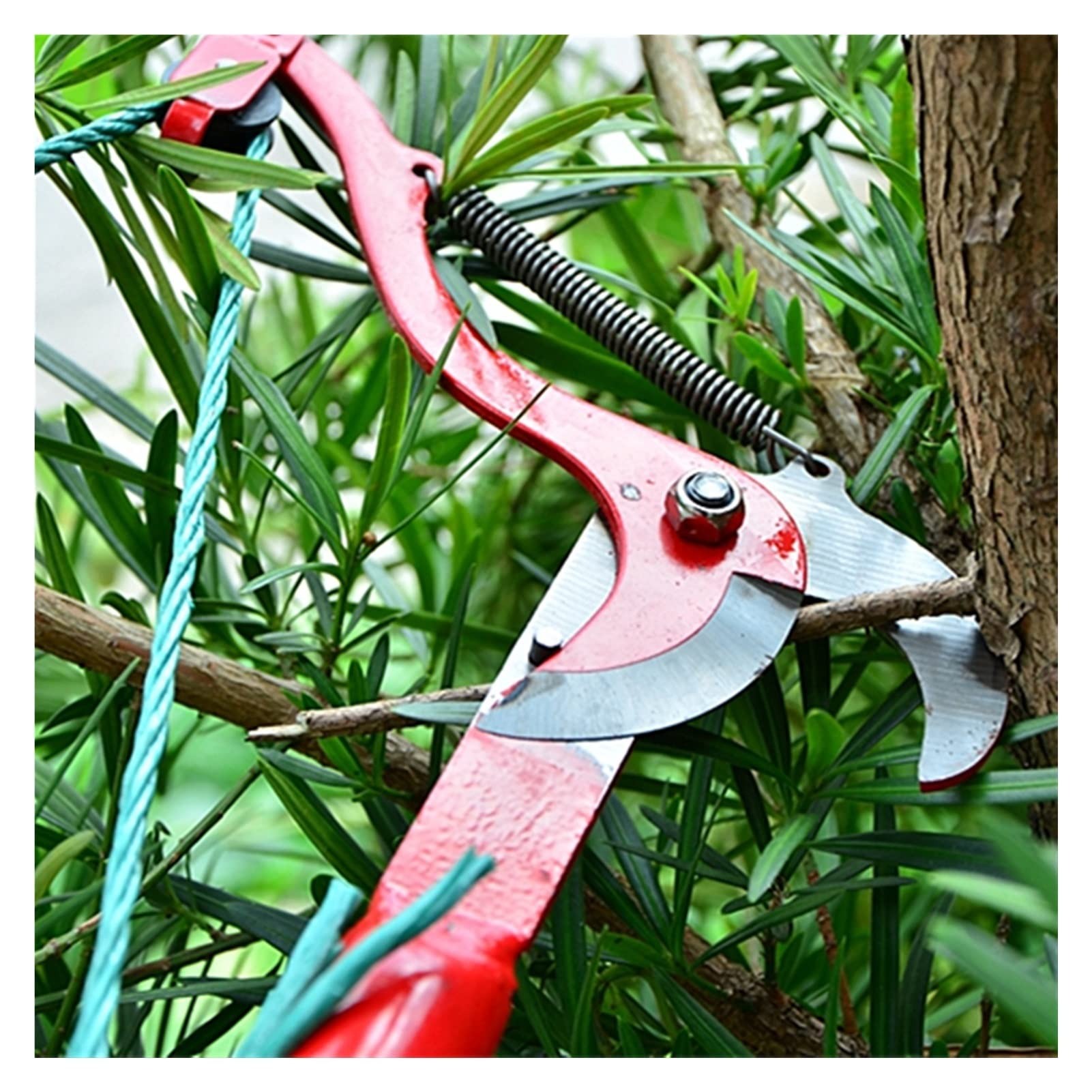 Picture of High Altitude Pruning Shears Tree Branches Cutter Garden Pruner-Multicolor