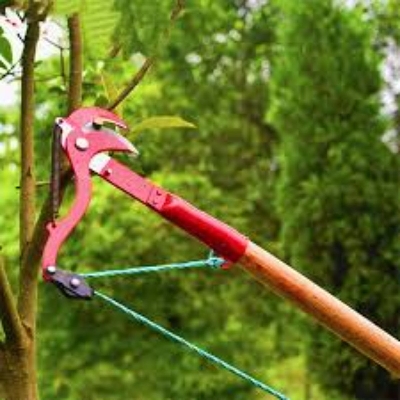 Picture of High Altitude Pruning Shears Tree Branches Cutter Garden Pruner-Multicolor