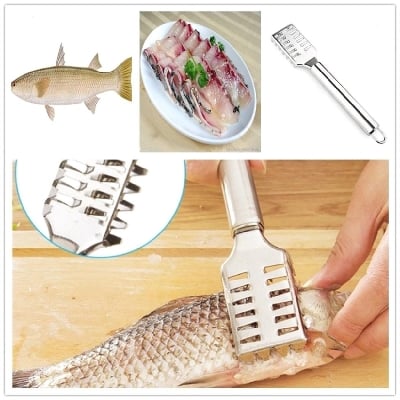 Picture of High Quality Stainless Steel Fish Scale Cleaner - Silver - Silver